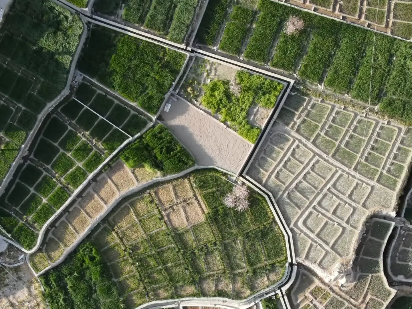Film flying over terraced fields in the Hajar mountains, a valley of date palms and villages below bare peaks, and a track climbing towards the mountains