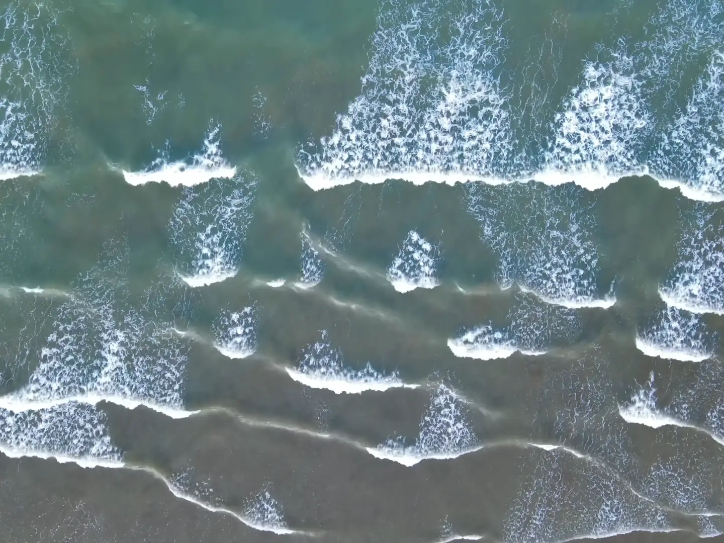 Film looking down on waves rolling onto a beach, a flock of birds over the sand on the Dhofar coast, and khareef mist over green hills near Salalah